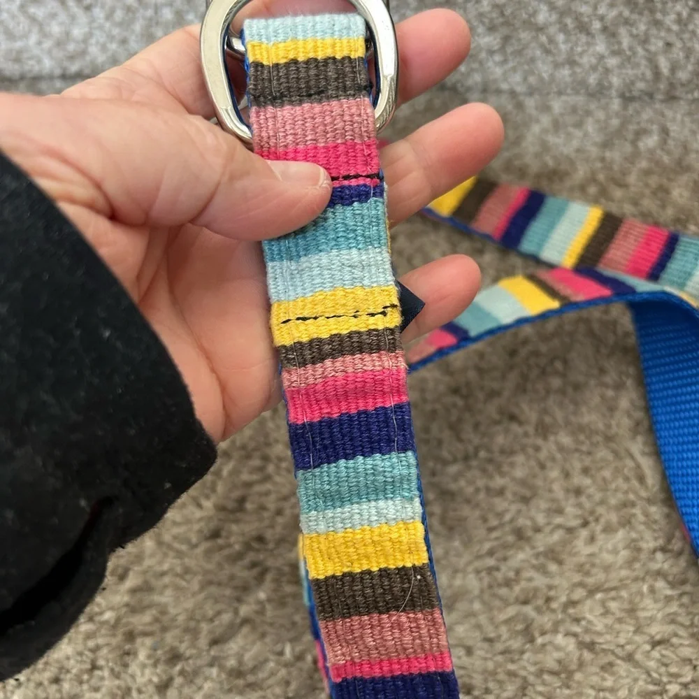 A Tail We Could Wag women’s striped belt with silver buckle. Colorful. Dog lover - Picture 6 of 10